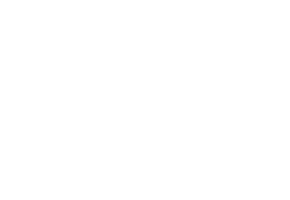 ndv Versicherungs-Makler-Gesellschaft UG (haftungsbeschränkt)